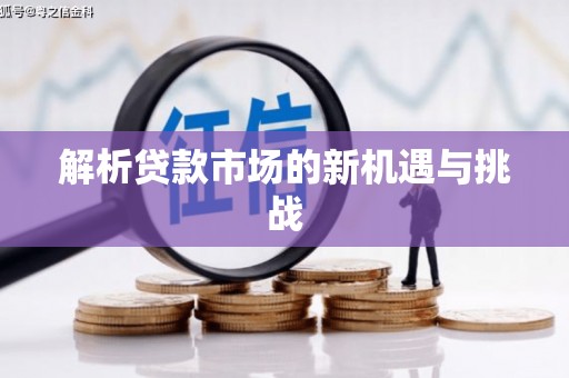 纳溪解析贷款市场的新机遇与挑战