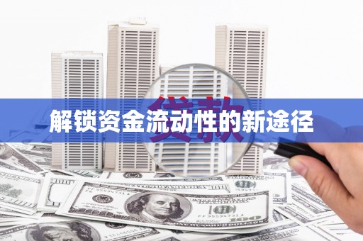 纳溪解锁资金流动性的新途径
