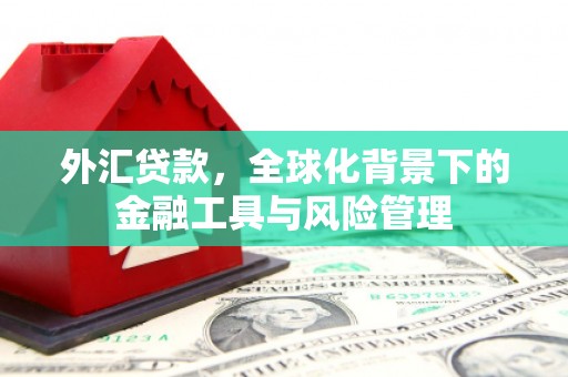 纳溪外汇贷款，全球化背景下的金融工具与风险管理