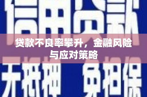 纳溪贷款不良率攀升，金融风险与应对策略